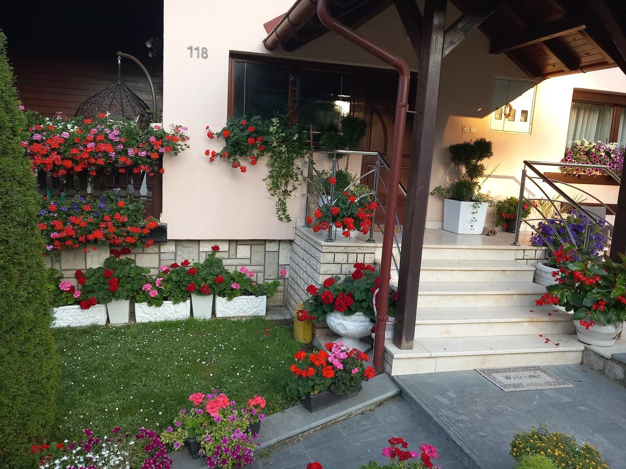 Apartment Vihor Zlatibor Exterior foto
